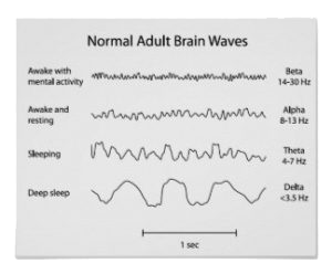 moždani valovi